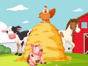 Farm Puzzle Online Game