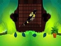 Cozy Bird Puzzle Quest