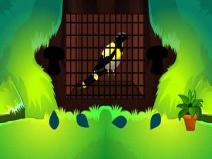 Love Bird Puzzle Adventure