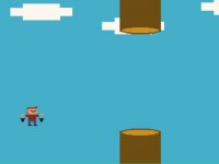 Sky Jumper: Arcade Flying Game