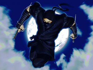 Ninja Defender Online Game
