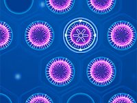Sporos Puzzle Game
