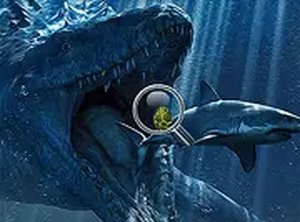 Hidden Fossil Hunt Puzzle