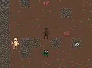 Enduring Wilderness Quest