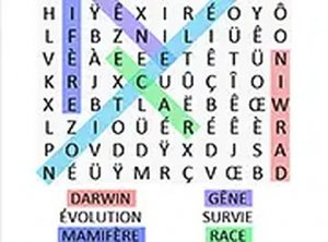 Letter Hunt Word Puzzle